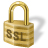 Secure Server